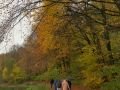 Afbeelding-van-WhatsApp-op-2025-11-03-om-19.57.59_e160e8e6