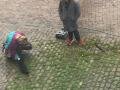 Afbeelding-van-WhatsApp-op-2025-11-03-om-20.45.16_f2fc9d21