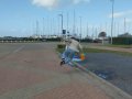 d0027913-7ac7-4103-b1c5-4fa9f5f5d936