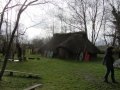 IMG_0401.jpeg