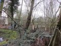 IMG_0409.jpeg