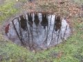 IMG_0414.jpeg