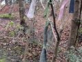 IMG_0416.jpeg