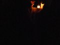 1_P1170971-min