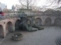 IMG_2629