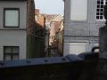 DSC_0347