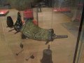 IMG_4720