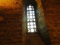 IMG_4746