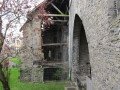 IMG_4757