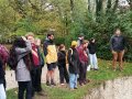 IMG_20231129_115201